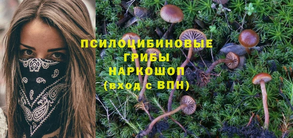 кокаин перу Дмитриев