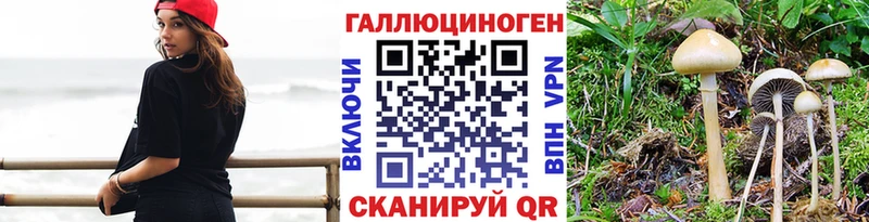 Купить  Камень-на-Оби  Псилоцибиновые грибы Magic Shrooms 